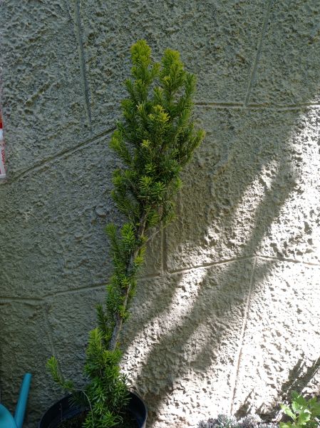 kk_img_20250824_131951.jpg