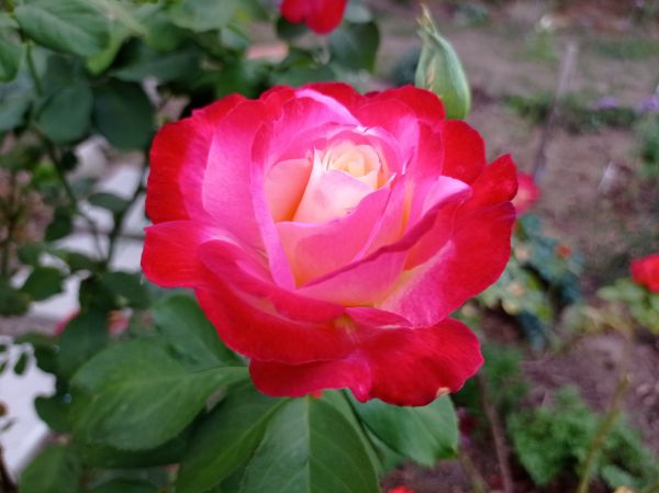kk_img_20250904_185023.jpg