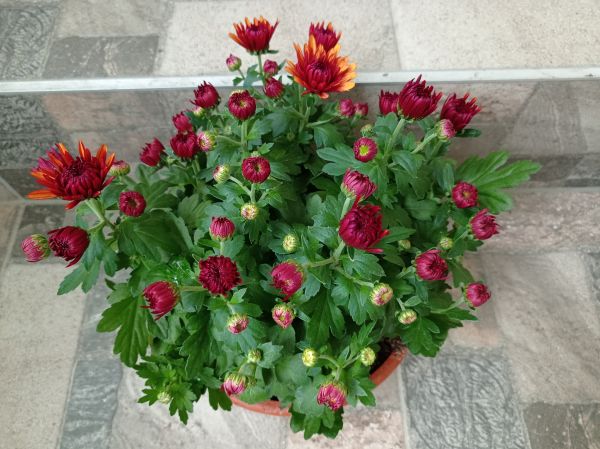 kk_img_20251021_143451.jpg