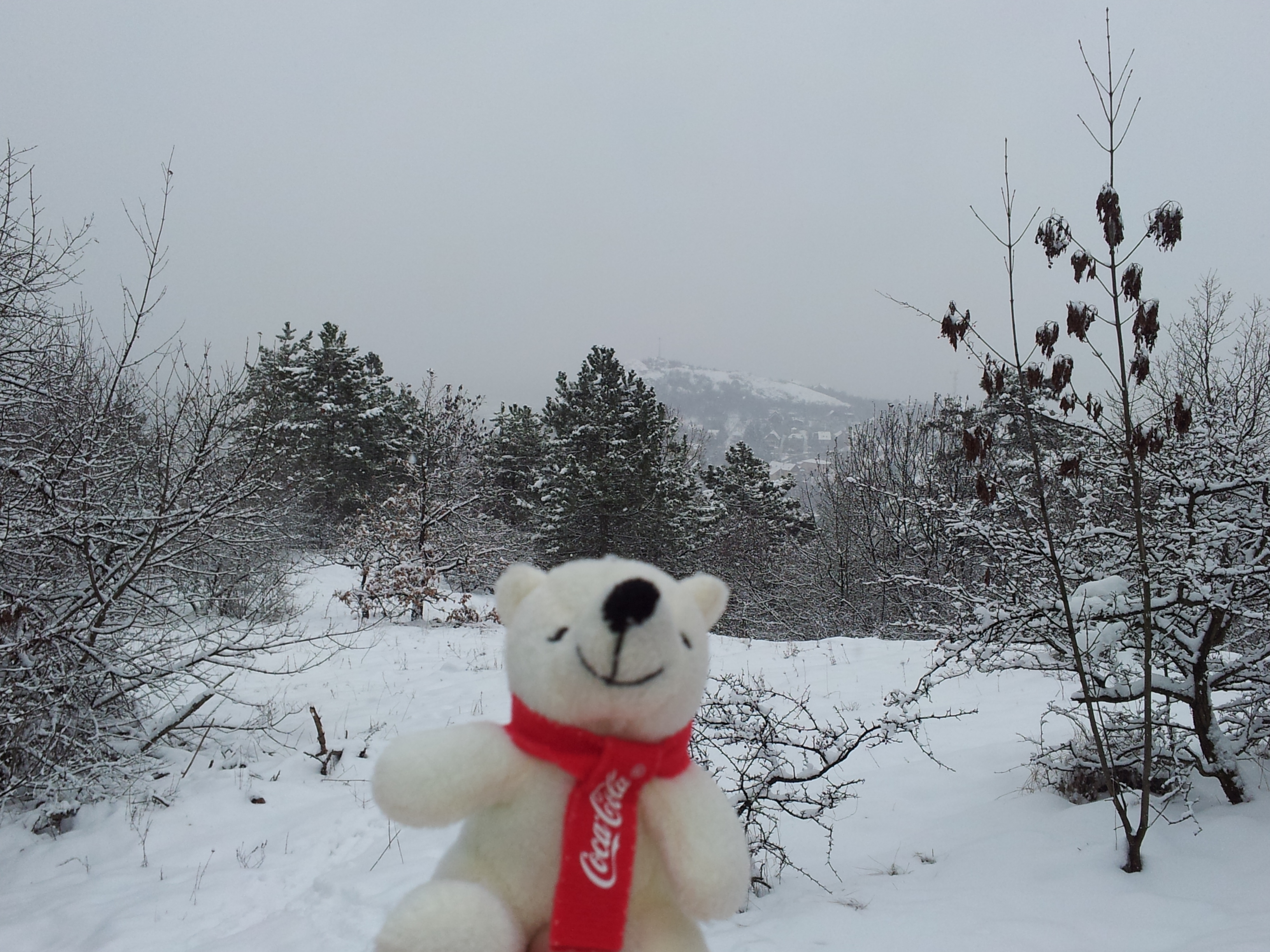 20130210_121601.jpg
