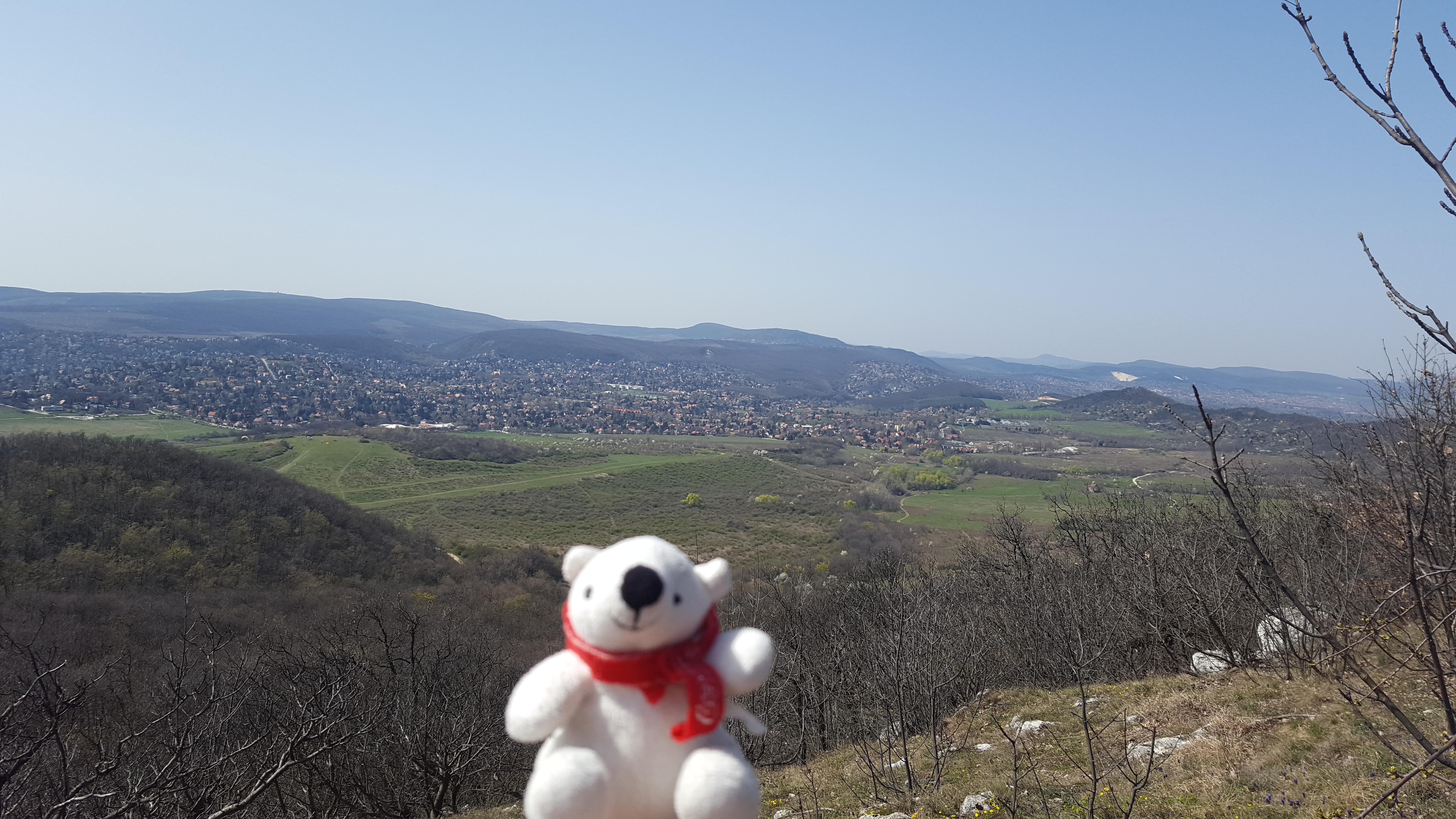 20160403_133957.jpg