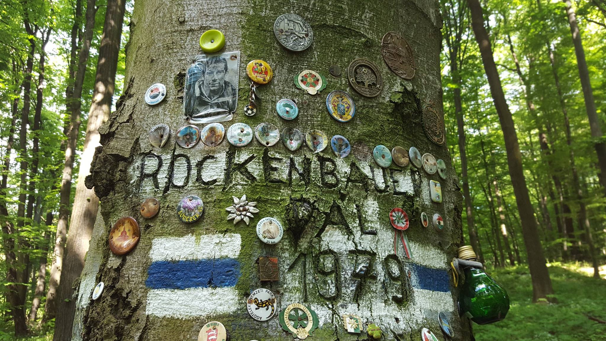 rockenbauerfa.jpg