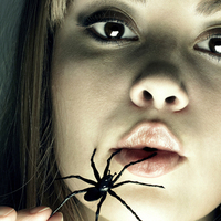 A pókméreg jobb, mint a Viagra?