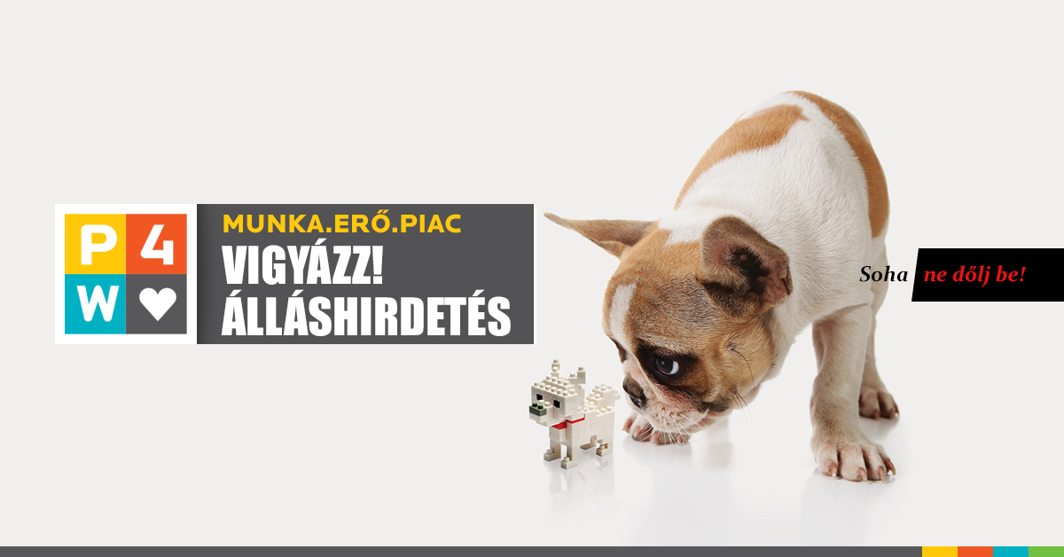 munkaeropiac-vigyazz_allashirdetes-1200x628px-b.PNG