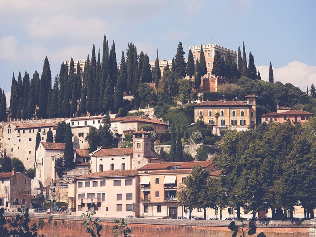 Sok paradicsom, még több Verona