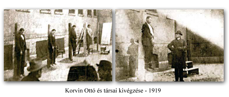 korvinotto.jpg