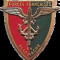 5e Division Blindée, 1985