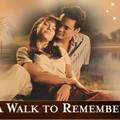 38.: When it was good ... :) A walk to remember... :)