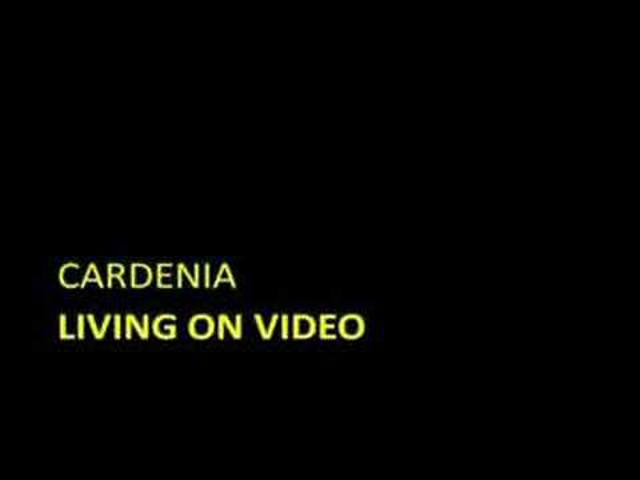 Living on Video