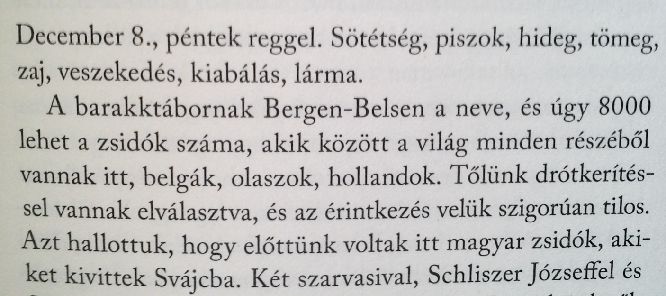 elottunk_voltak_itt_magyar_zsidok_akiket_kivittel_svajcba.jpg