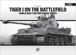 tiger 7.jpg