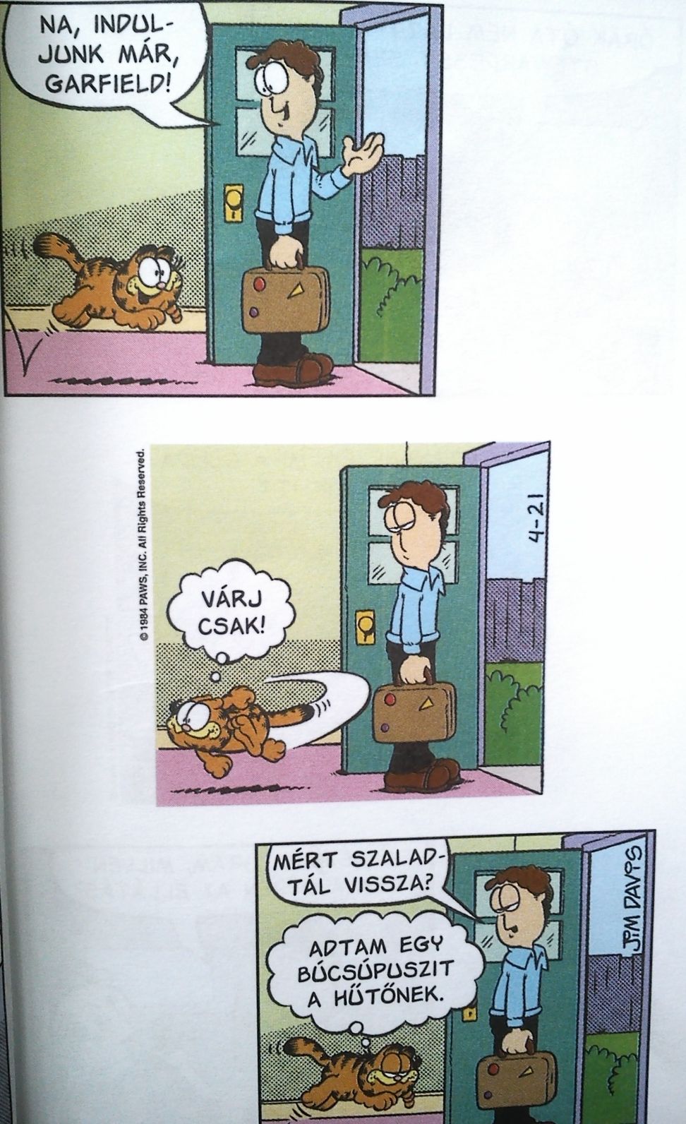 garfield huto.jpg