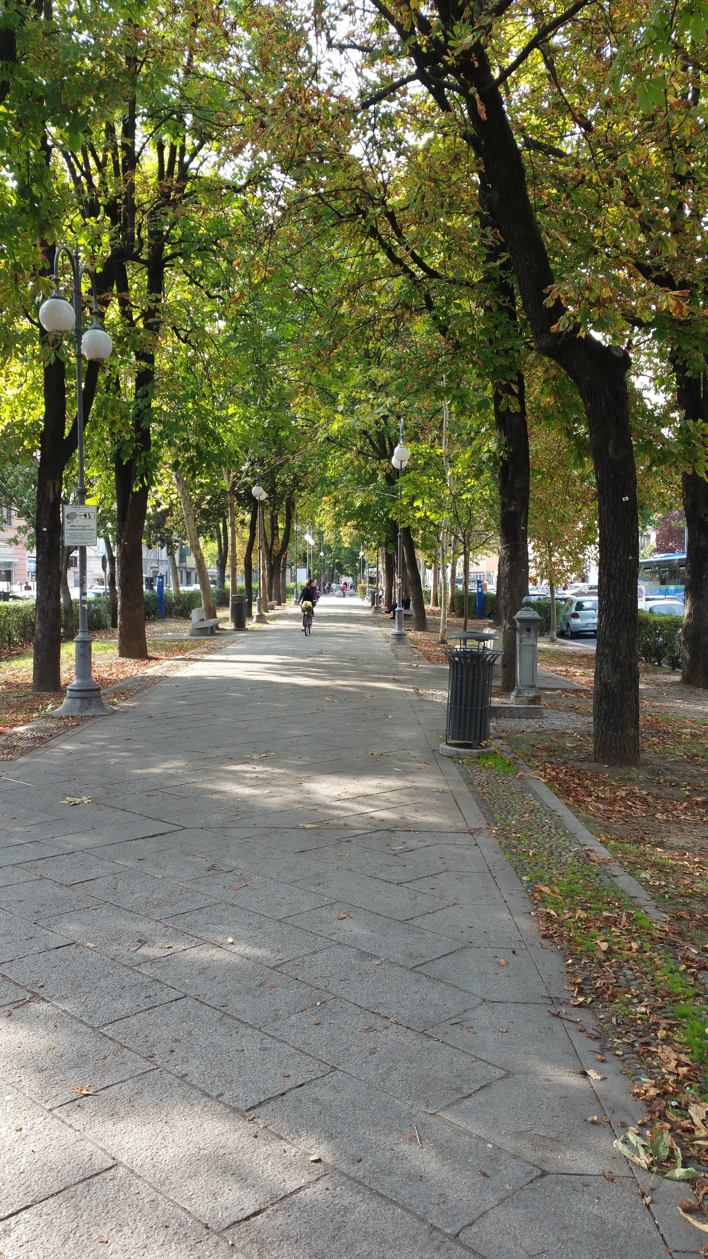 Viale Giacomo Matteotti