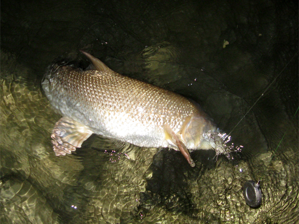szakadek09.jpg