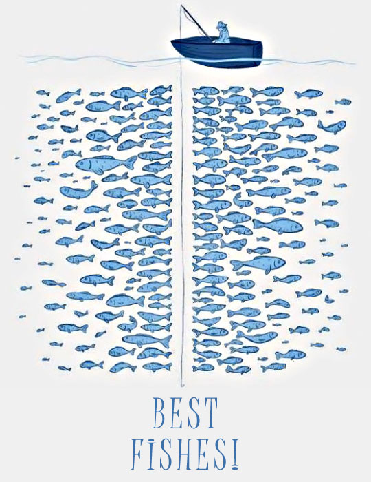 best-fishes.jpg