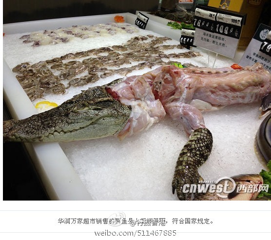 　　　China-Shocking-News-Xi-an-Vanguard-Supermarket-Sells-Crocodile-Meat.jpg