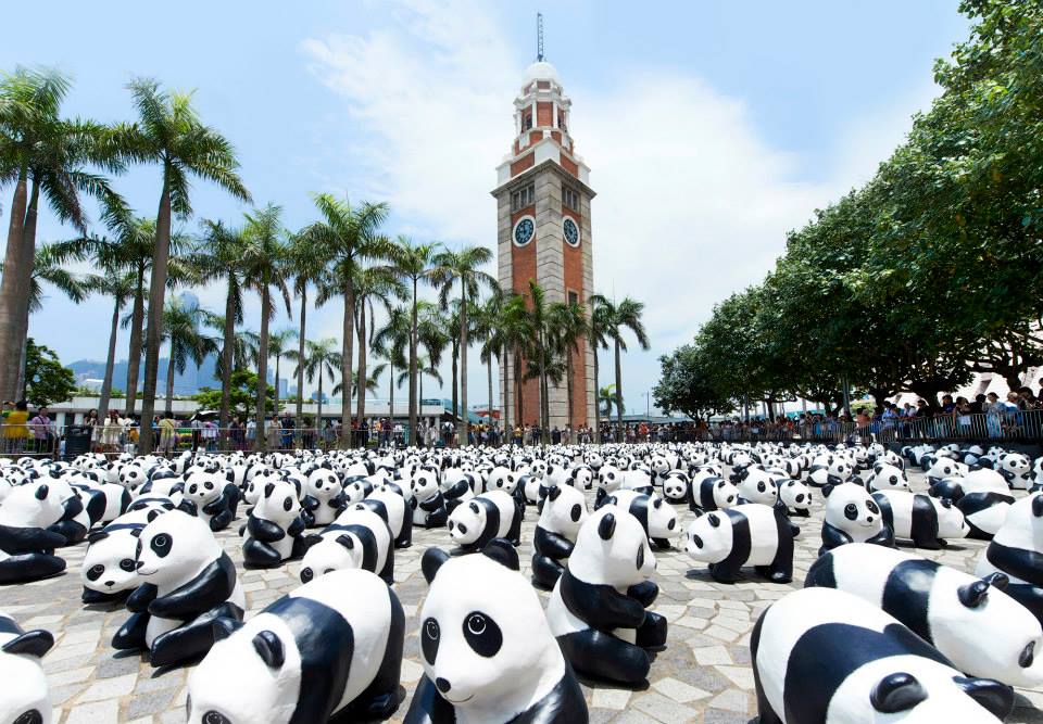 1600-pandas-Hongkong-1.jpg