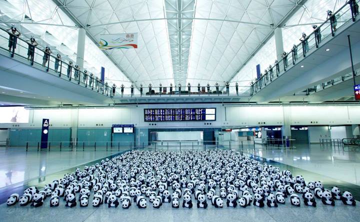 1600-pandas-Hongkong-2.jpg