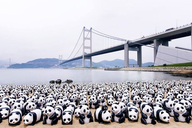 1600-pandas-Hongkong-5.jpg