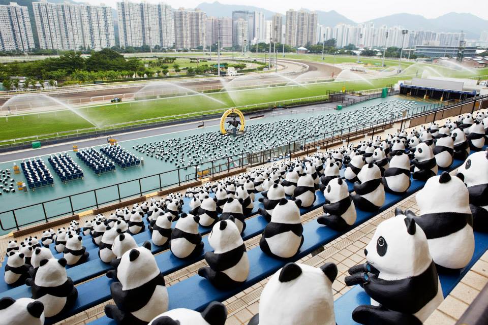 1600-pandas-Hongkong-7.jpg