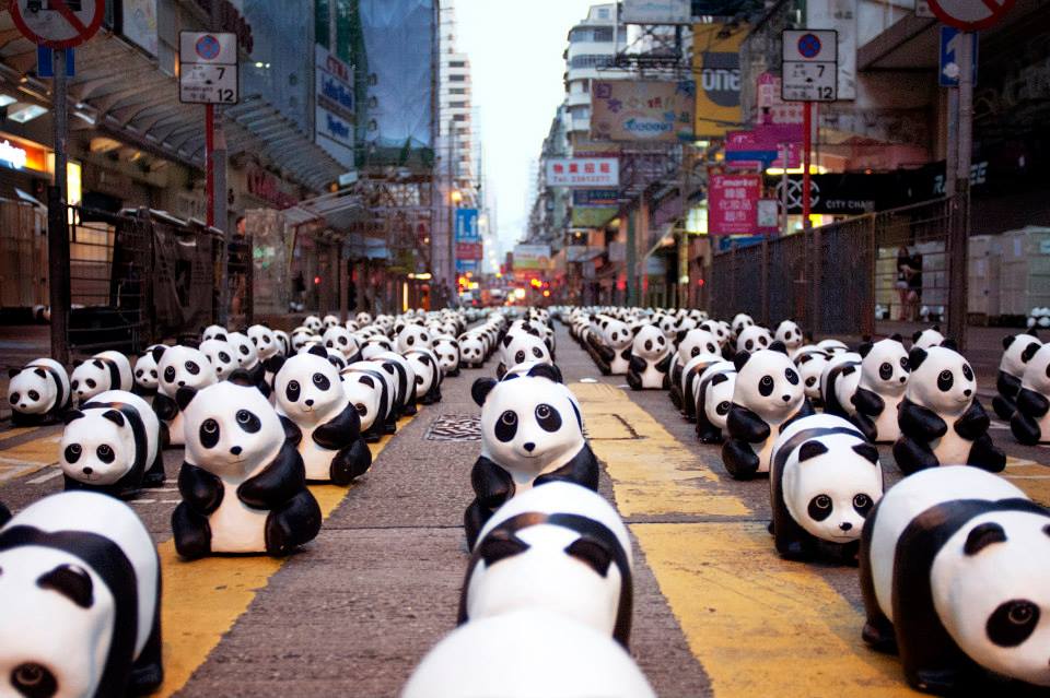 1600-pandas-Hongkong-8.jpg