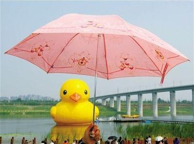 399x297xGiant-rubber-duck-appears-at-Beijing-Garden-Expo-Park-sz.png.pagespeed.ic.PwlDsgkYRB.jpg