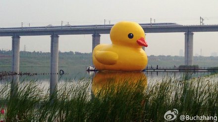 440x247xGiant-rubber-duck-appears-at-Beijing-Garden-Expo-Park.jpg.pagespeed.ic.3uDm_el_nH.jpg