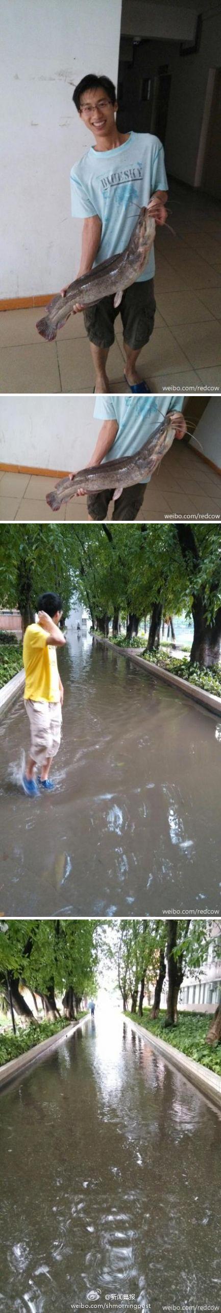 A-Student-Caught-a-17-pounds-catfish-in-Campus-after-Heavy-Rain-1.jpg