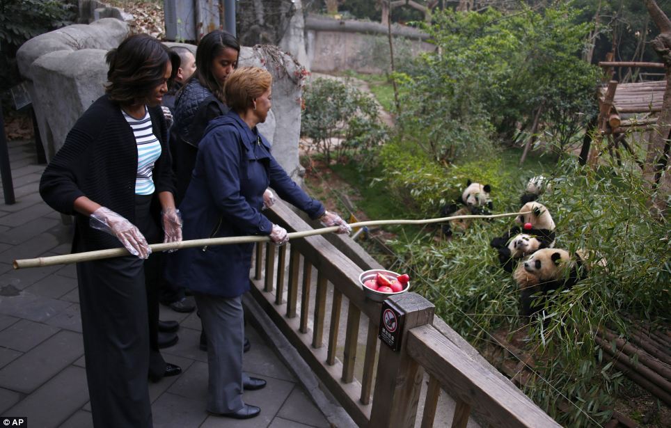 Obama-panda-1.jpg