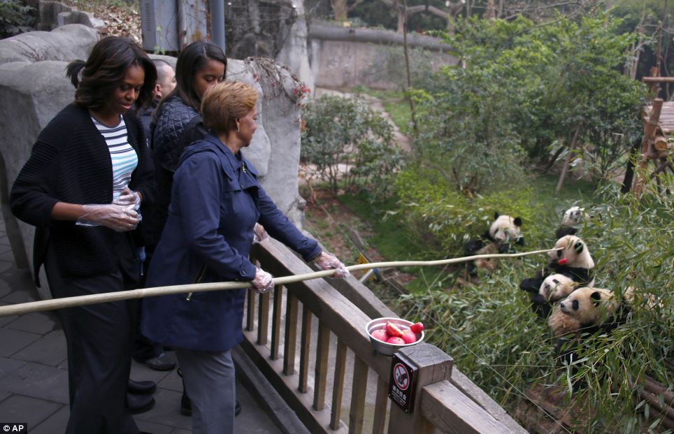 Obama-panda-2.jpg
