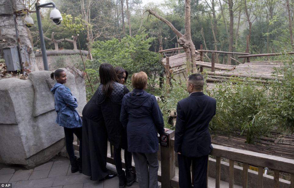 Obama-panda-4.jpg