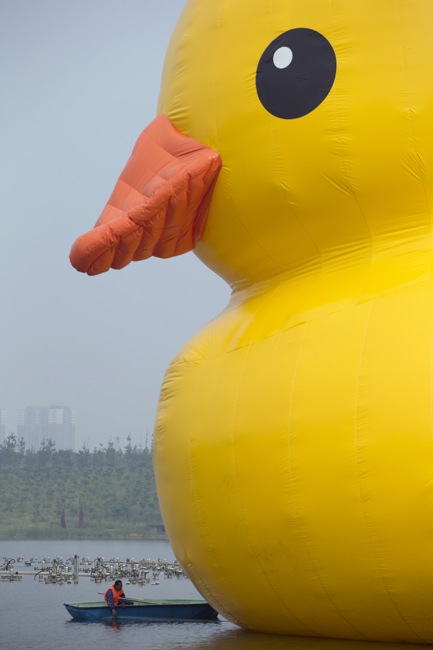 Rubber-duck-looks-sad-in-Beijing-2.jpg