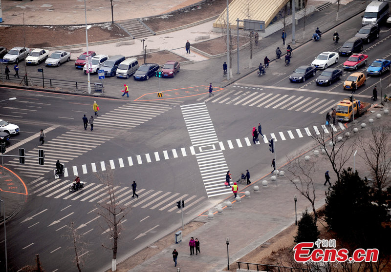 Shenyang-zebra-3.jpg