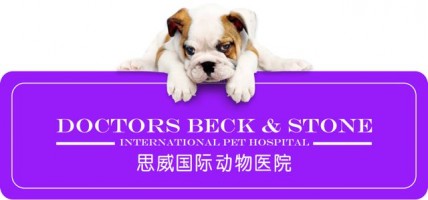 beckandstone-logo.jpg