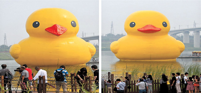 giant-duck.jpg