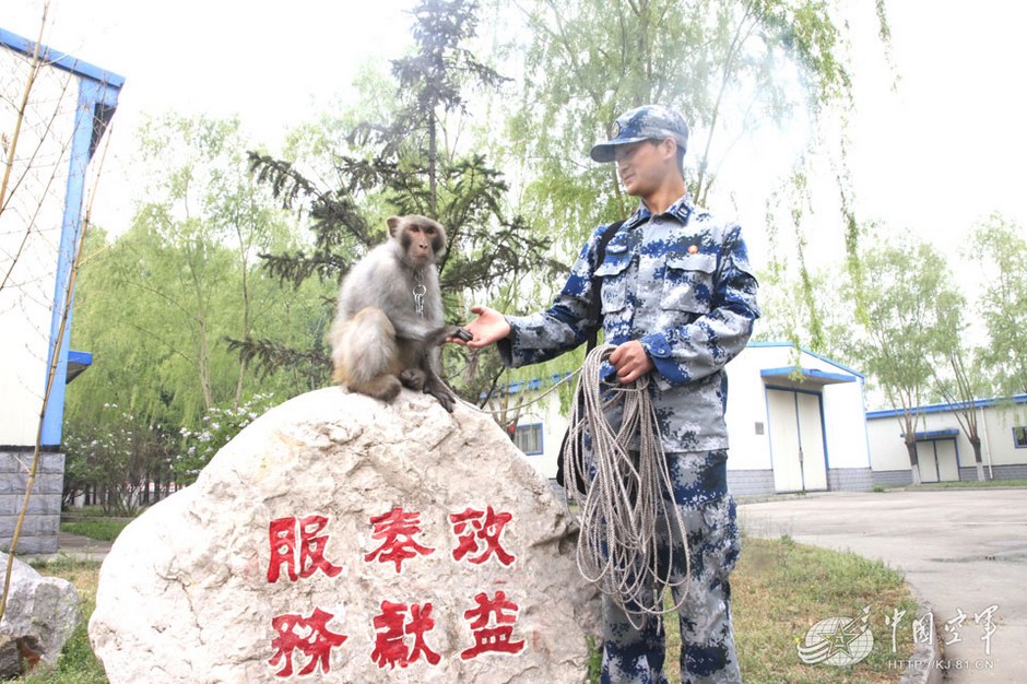 kínai-légierő-majmok-6.jpg