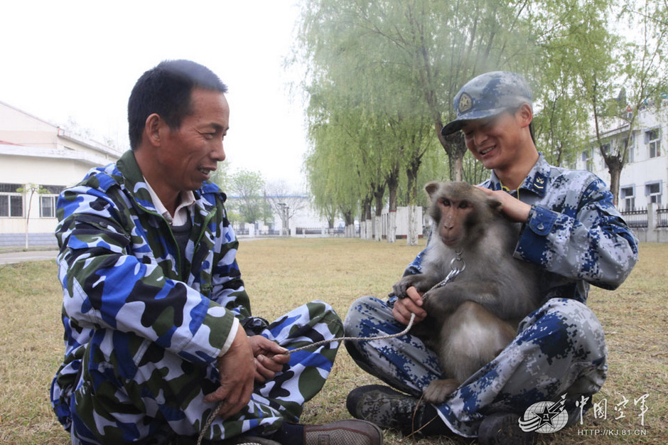 kínai-légierő-majmok-7.jpg