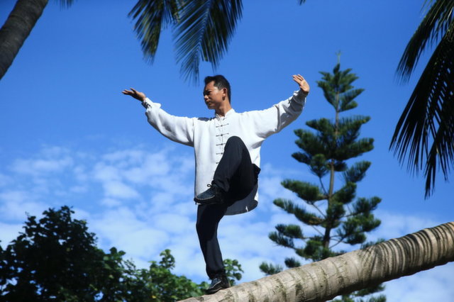 kungfu-tree-9.jpg