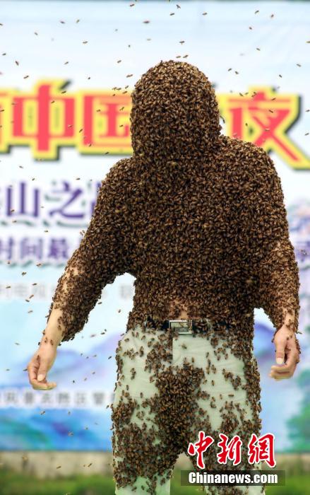 méh-ember-7.jpg
