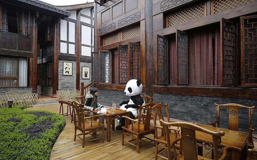 panda-hotel-5.jpg