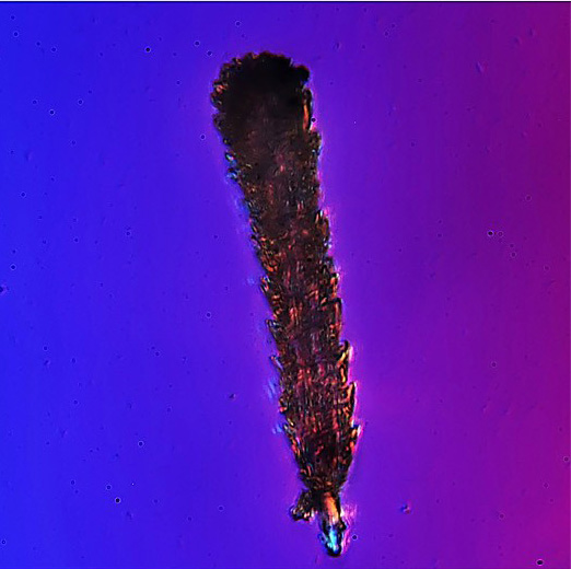 szmog-részecskék-mikroszkóp-alatt-5.jpg