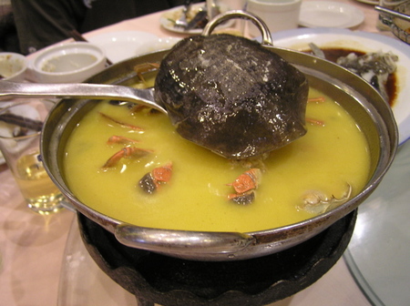 turtle-soup.jpg