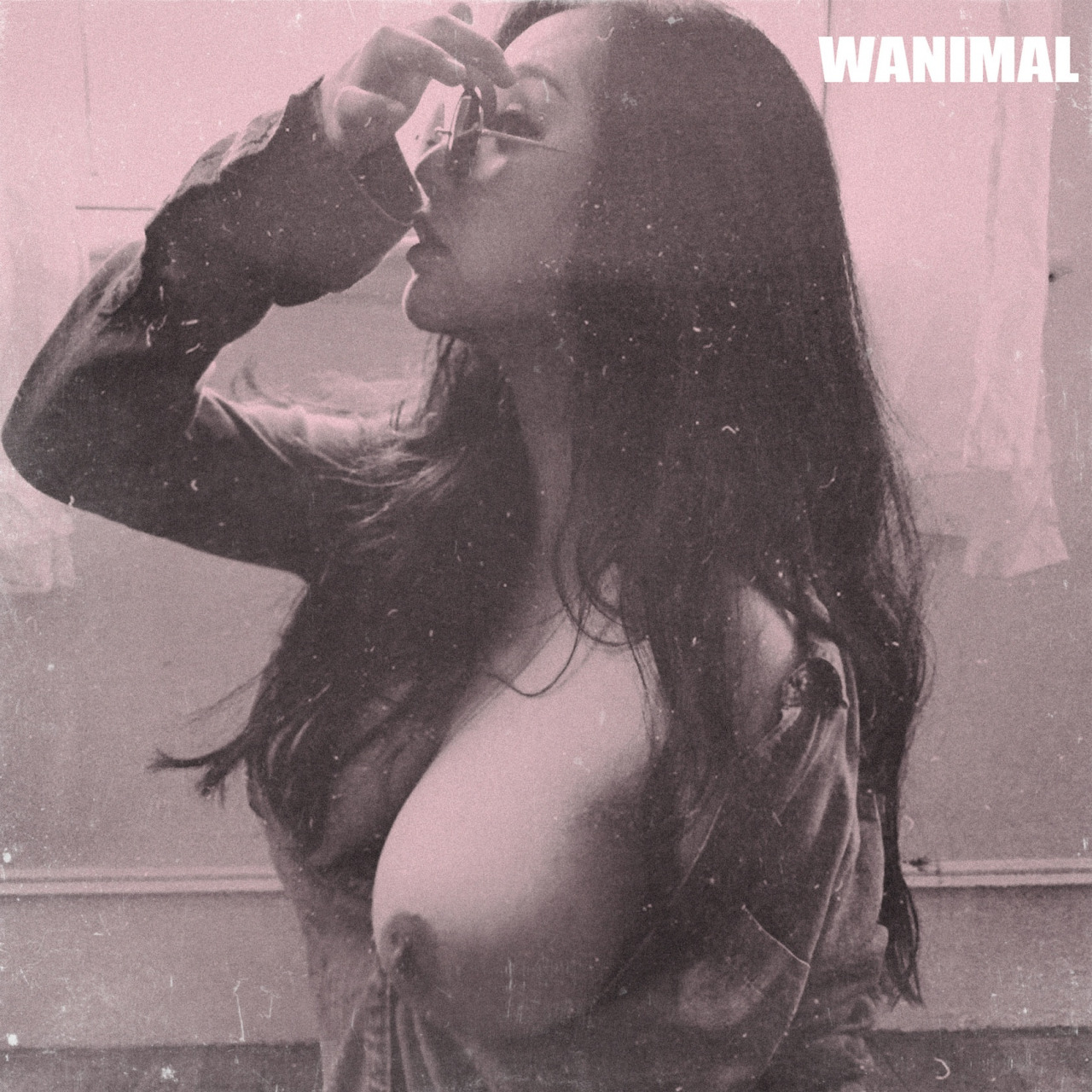 wanimal-retro.jpg