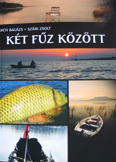 két fűz.JPG