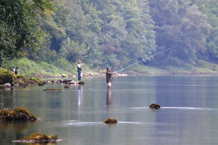 drina16.JPG