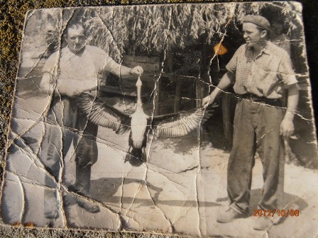 A kormoránt Papp József halászmester lőtte-balról. Jobbról Lehrer Konrád kovács, 1961 7.hó Irmapuszta 8-as tó.JPG