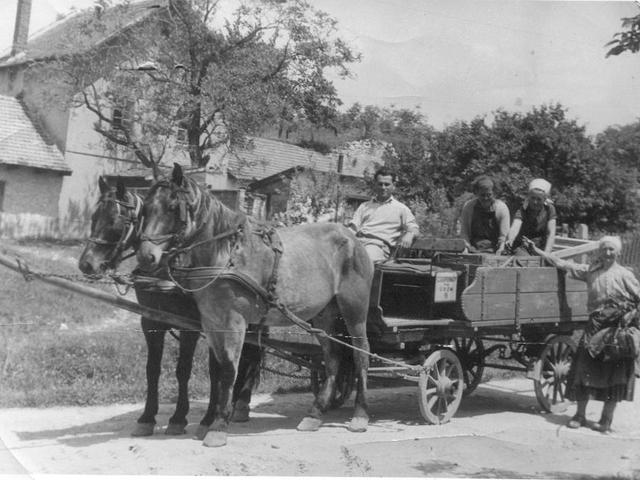 Ürömi képek 37.
