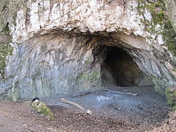 250px-macko-barlang.JPG