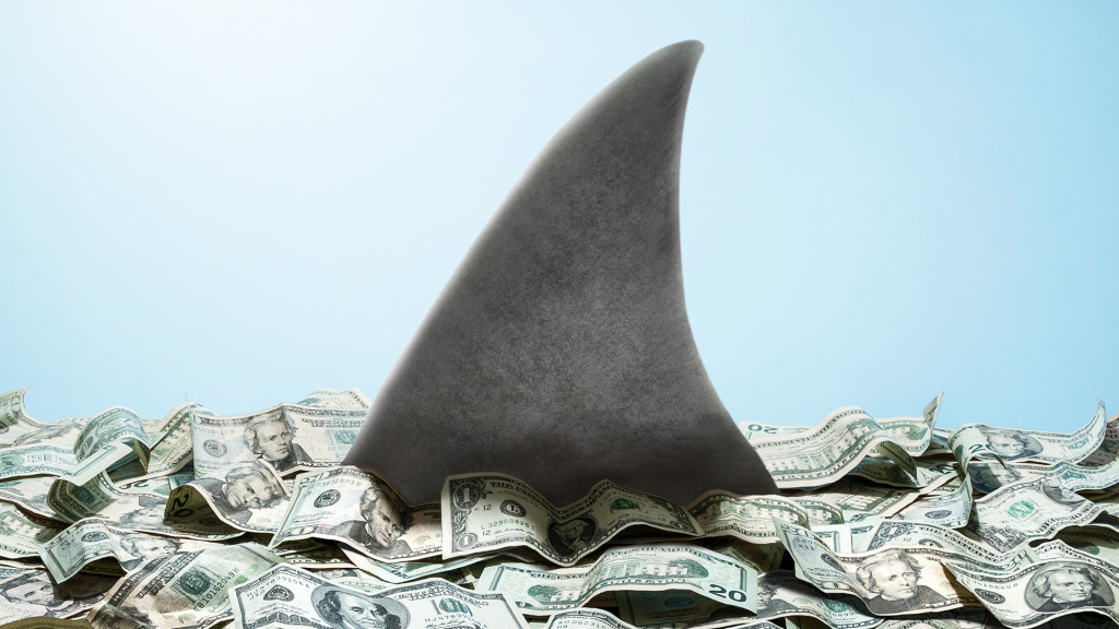 shark_money-1024x576.jpg