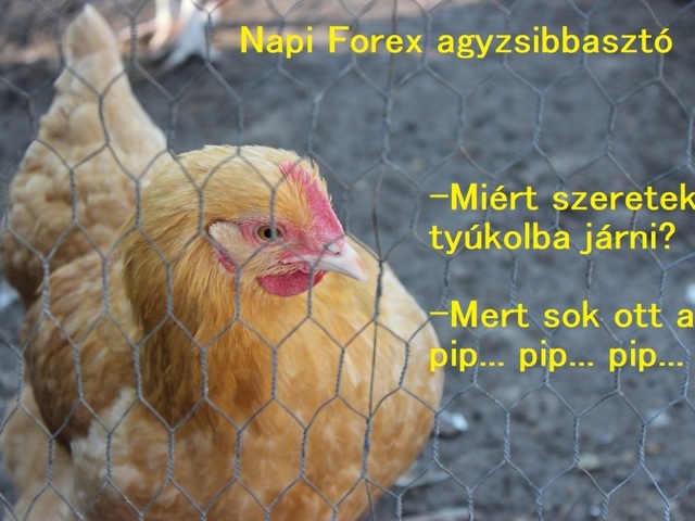 Forex után szabadon